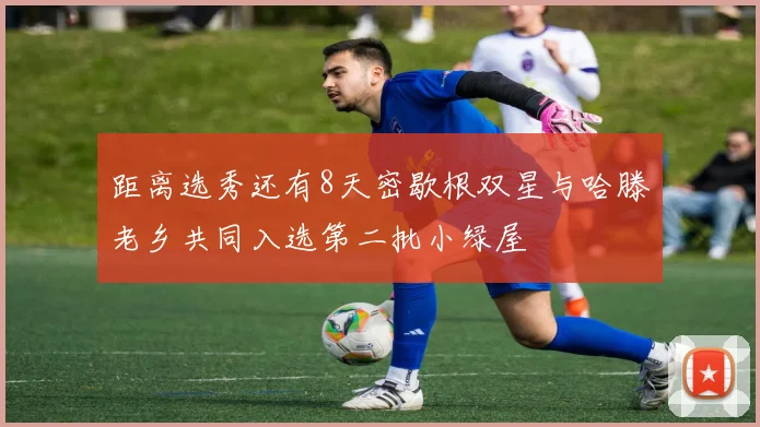 距离选秀还有8天密歇根双星与哈滕老乡共同入选第二批小绿屋