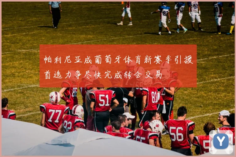 帕利尼亚成葡萄牙体育新赛季引援首选力争尽快完成转会交易